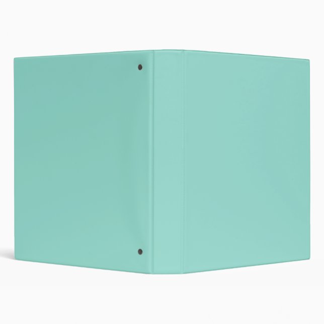 Pale Robin Egg Blue Solid Colour Binder (Background)
