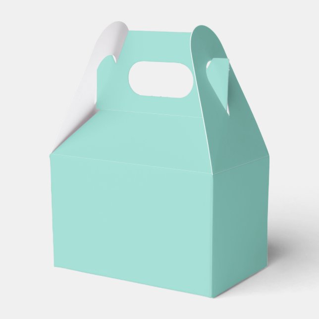 Pale Robin Egg Blue Solid Colour Favor Box (Front Side)
