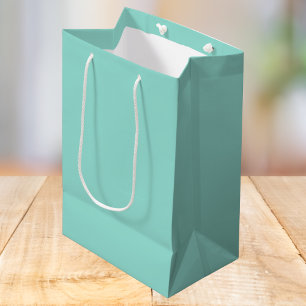 Pale Robin Egg Blue Solid Colour Medium Gift Bag