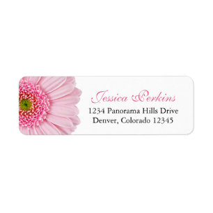 Pale Rose Gerbera Daisy Mariage Adresse de retour