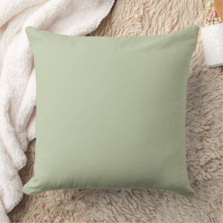 Pale Sage Green Solid Throw Pillow