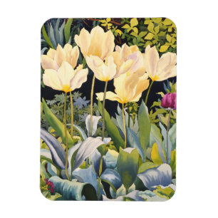 Pale Tulips Magnet