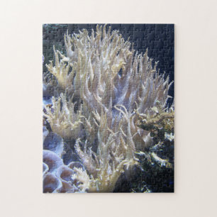 Pale White Living Coral in Dark Ocean Water Jigsaw Puzzle