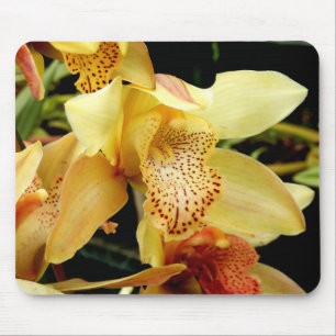 Pale Yellow Cymbidium Orchid Mouse Mat