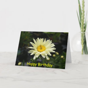 Pale Yellow Daisy, Happy Birthday Card
