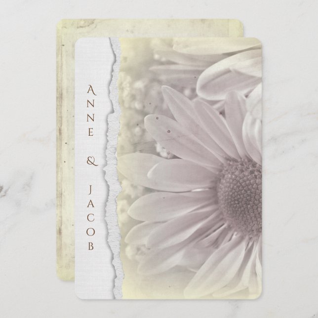 pale yellow daisy macro on torn edge paper invitation (Front/Back)