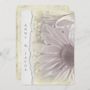 pale yellow daisy macro on torn edge paper invitation
