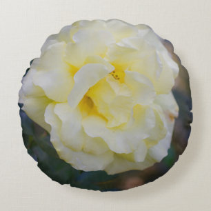 Pale yellow rose round pillow