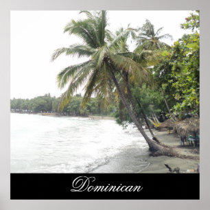 Palenque Beach in Dominican Republic Poster