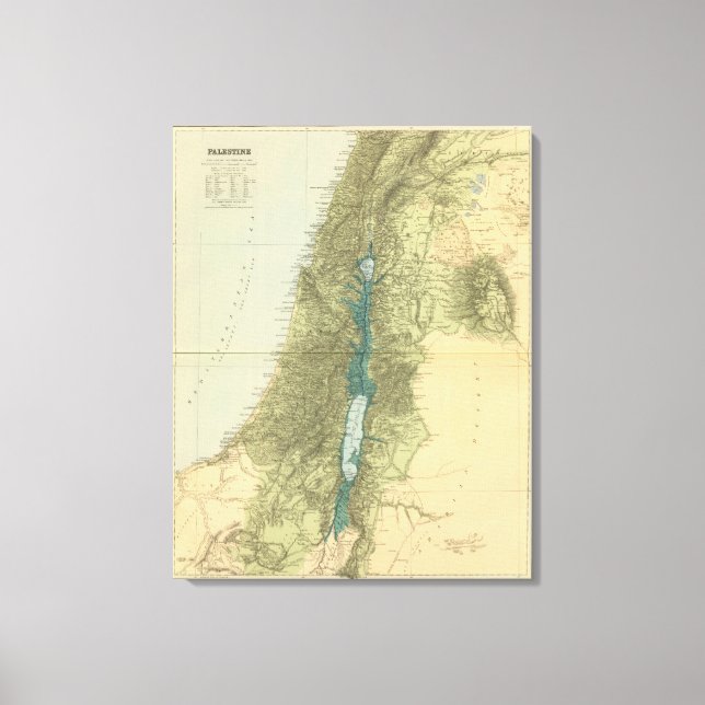 Palestine 2 canvas print (Front)