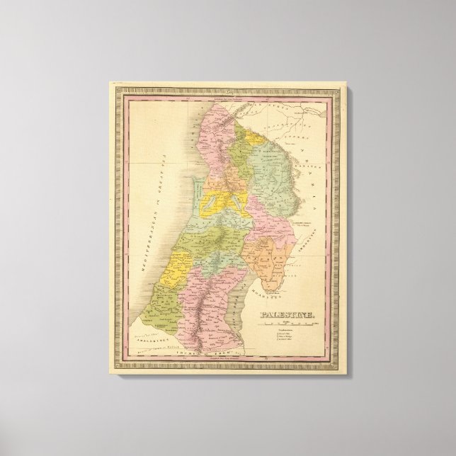 Palestine 4 canvas print (Front)