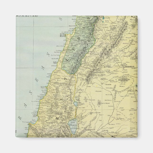 Palestine 4 magnet (Front)
