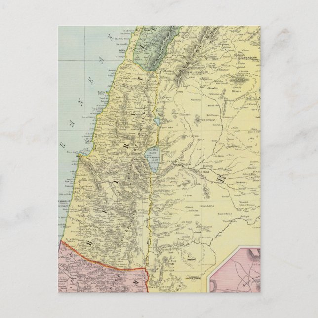 Palestine 4 postcard (Front)