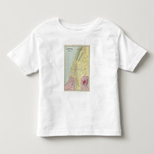 Palestine 4 toddler t-shirt