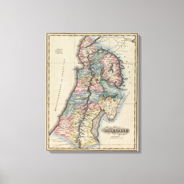 Palestine 5 canvas print (Front)