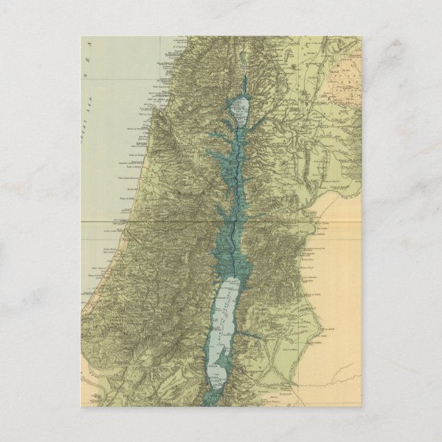Palestine 5 postcard (Front)