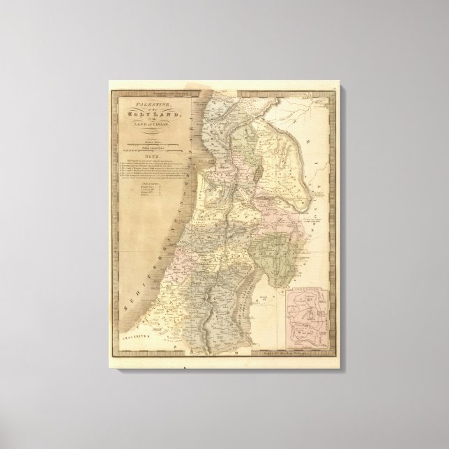 Palestine 6 canvas print (Front)