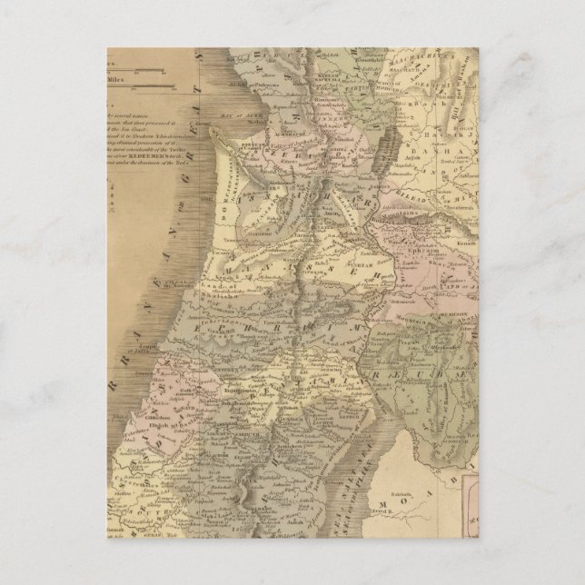 Palestine 6 postcard (Front)