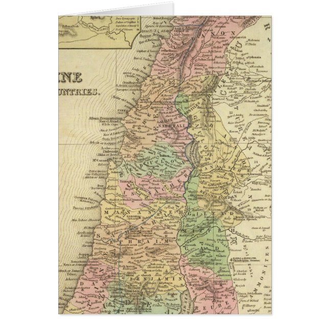 Palestine & Adjacent Countries (Front)