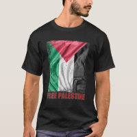 Palestine Flag Arabic Palestinian Distressed Free