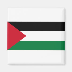 Palestine Flag Magnet