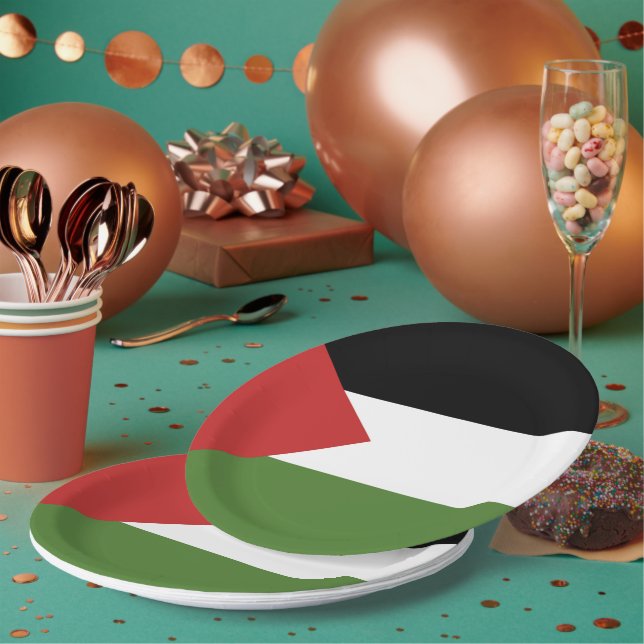 Palestine flag paper plate (Multi)