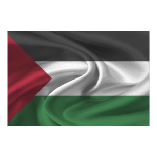Palestine Flag Photo Print
