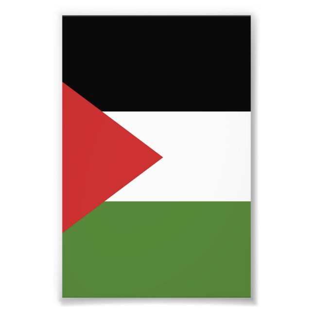 Palestine flag photo print (Front)