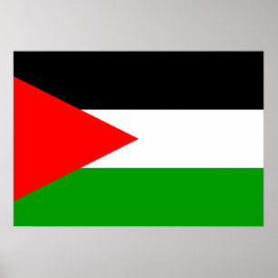 Palestine Flag Poster