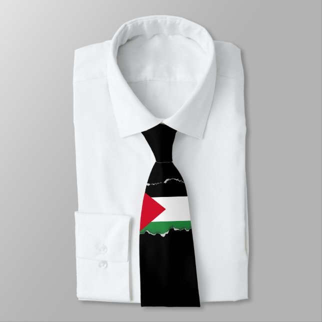 Palestine Flag Tie (Tied)