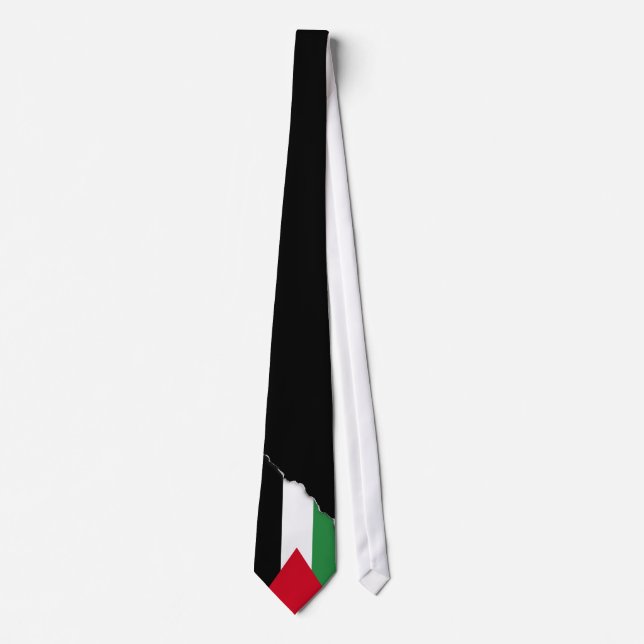 Palestine Flag Tie (Front)
