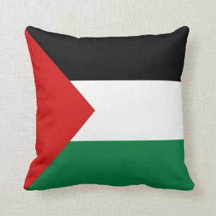 Palestine Flag x Flag Pillow