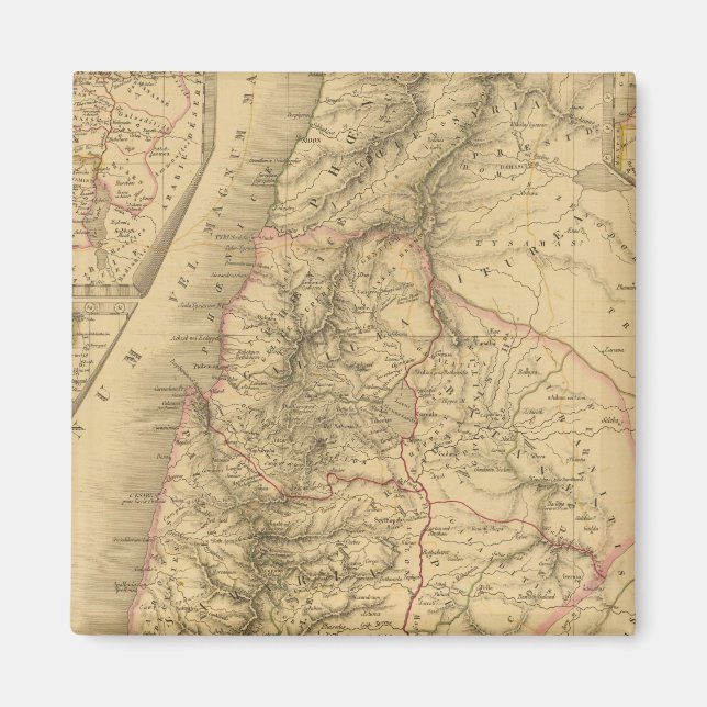 Palestine Magnet (Front)