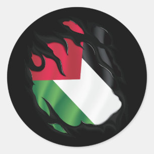 Palestine Ripped Flag Classic Round Sticker
