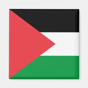 Palestine state flag magnet