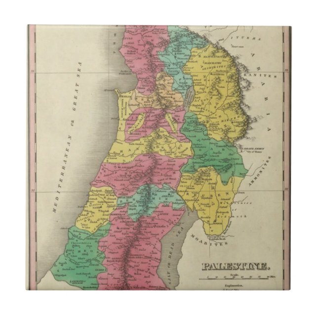 Palestine Tile (Front)