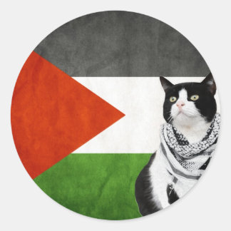 Palestinian Kufiya Wearing Cat Palestine Flag Classic Round Sticker