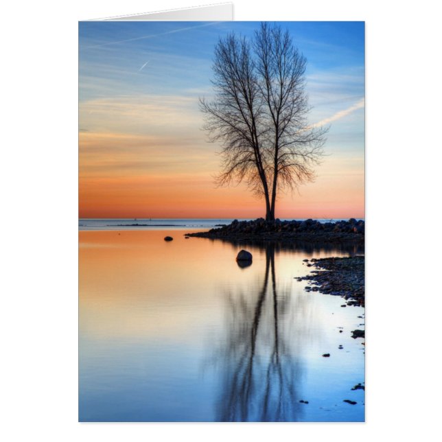 Palette Sunrise (Devant)