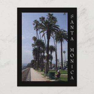 Palisades Park Santa Monica California Postcard