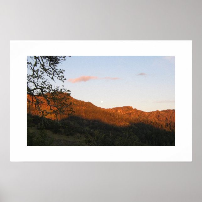 "Palisades" Poster (Front)