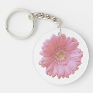 Pâlissez - la marguerite rose de gerbera