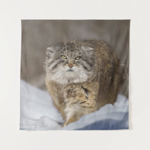 Pallas Cat in the snow Tapestry