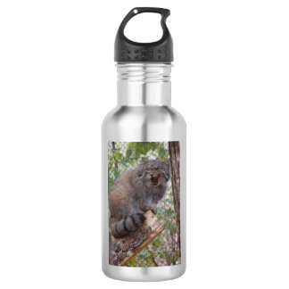 Pallas Cat Water Bottle