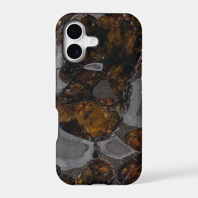 Pallasite (Back)
