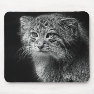 Pallas's cat portrait mouse pad