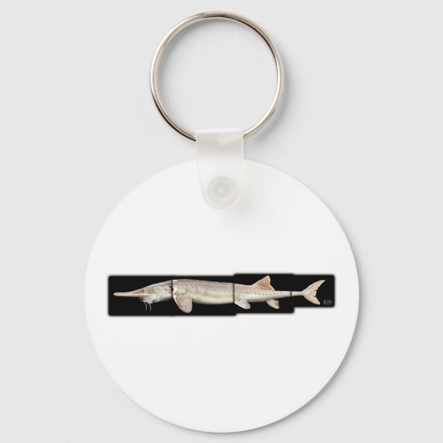 Pallid Sturgeon - Scaphirhynchus albus Keychain (Front)