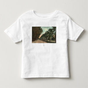 Palm and Pepper Trees Alongside Avenue Toddler T-shirt