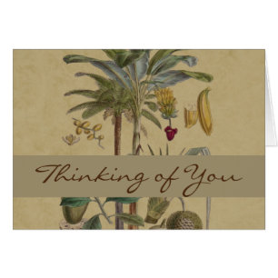 Palm Antique Fruit Tropical Art Botanique