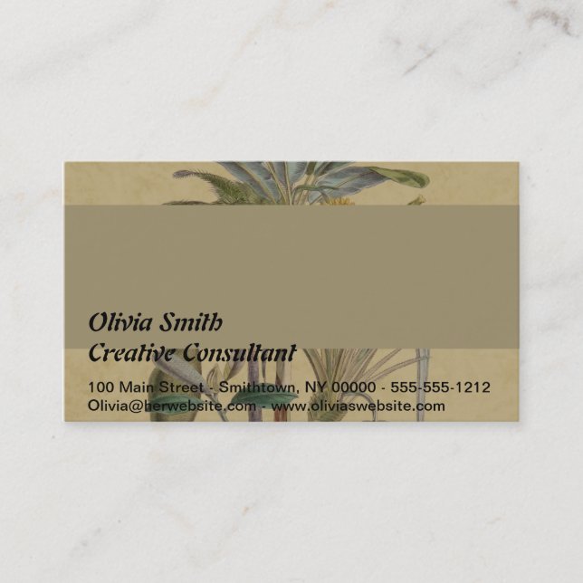 Palm Antique Tropical Fruit Botanical Art Business Card (Front)