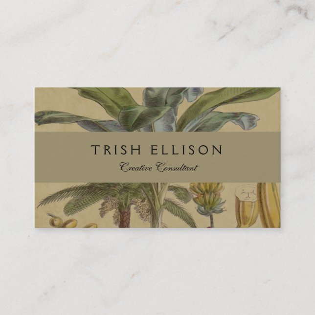 Palm Antique Tropical Fruit Botanical Art Business Card (Front)